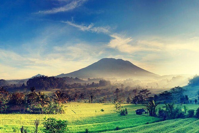 Shore Excursion : Private Tours To Ubud Art village And Surrounding Area - Who Is This Tour Best For?