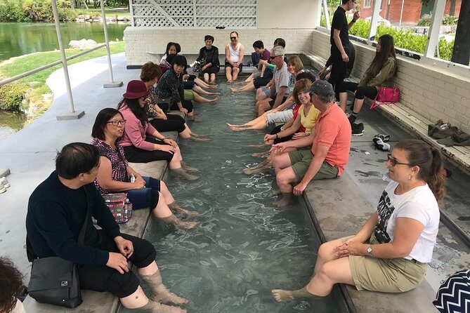 Shore excursion to Rotorua including Gondola and luge rides - What to Keep in Mind
