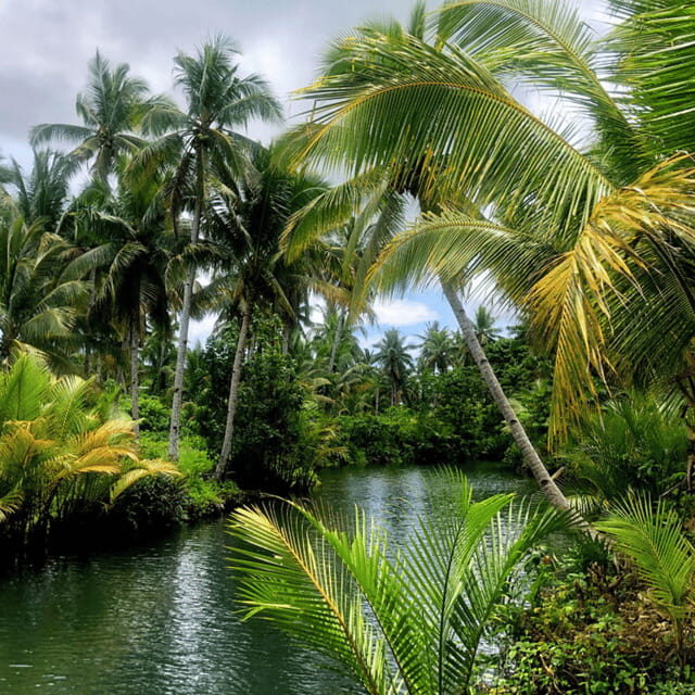 Siargao: Land Tour with Lunch and Sugba Lagoon - The Sum Up