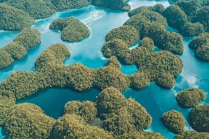 Siargao Private Sohoton Bucas Grande Tour with Lunch - What Makes This Tour Special?