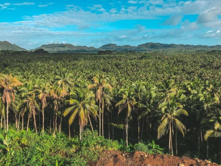 Siargao Tour D (Private Tour) - Exploring Siargao Tour D in Detail