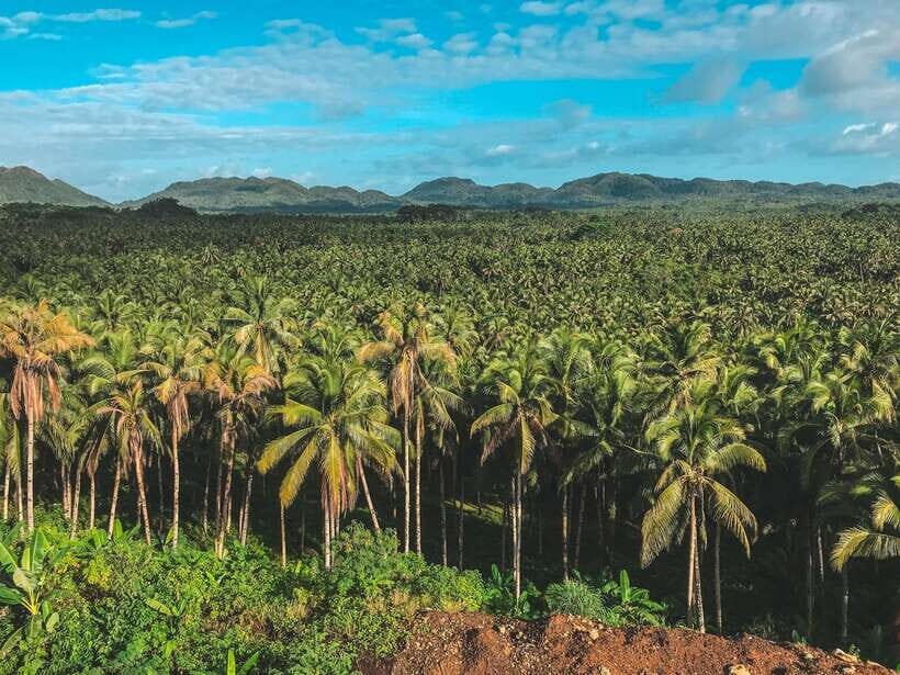 Siargao Tour D (Private Tour) - Exploring Siargao Tour D in Detail