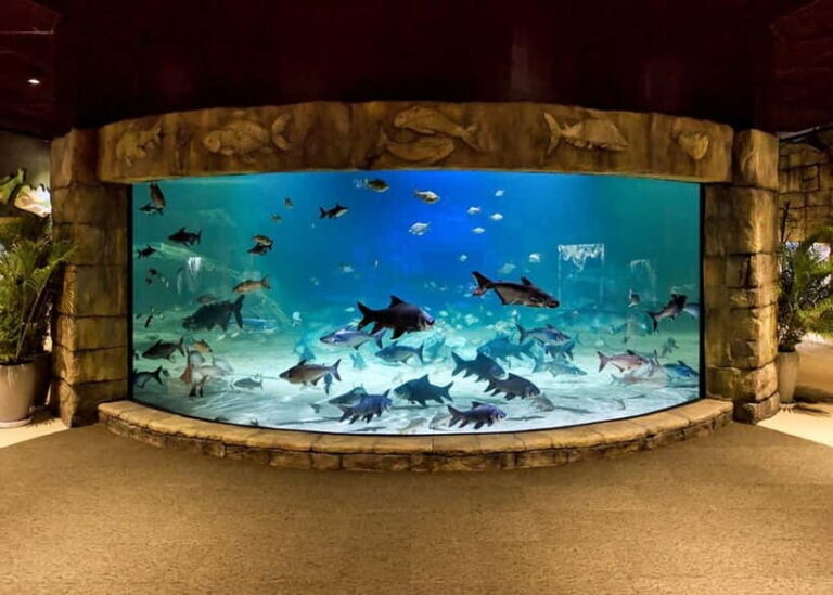 Siem Reap: Angkor Wildlife & Aquarium Entrance Ticket - Transport and Logistics