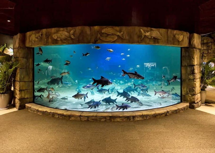 Siem Reap: Angkor Wildlife & Aquarium Entrance Ticket - Transport and Logistics