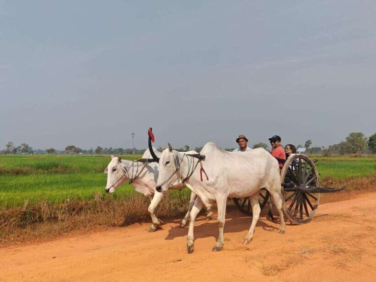 Siem Reap: Authentic Village Tour with Ox Cart Ride - What to Expect at Each Stop