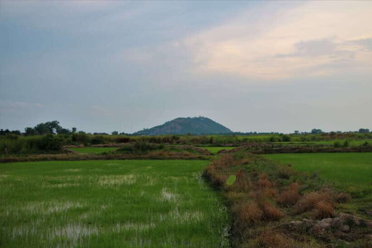 Siem Reap: Countryside Cycle and Local Village Life Tour - The Experience in Practice