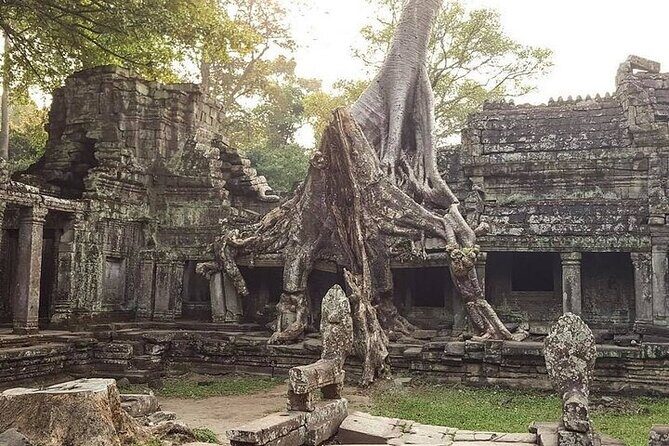 Siem Reap Private Car Tour: Angkor Grand Circuit (Half Day) - The Itinerary: What You’ll See