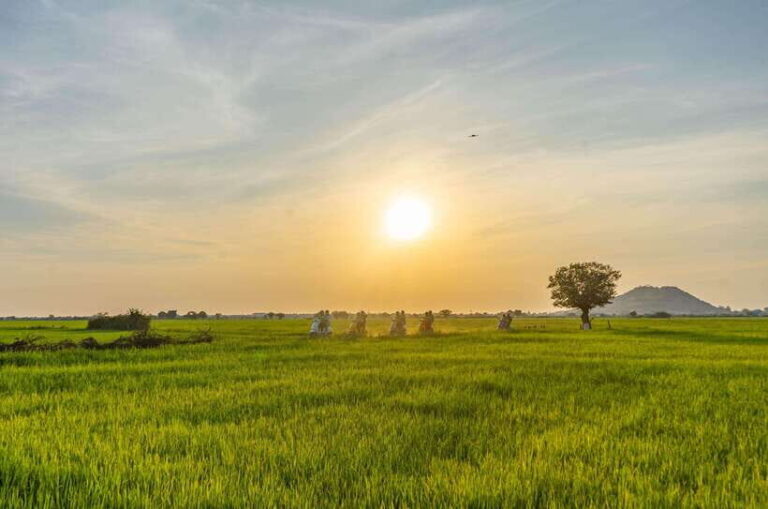 Siem Reap: Sunset Guided Vespa Tour & Local Villages - The Stops and Highlights