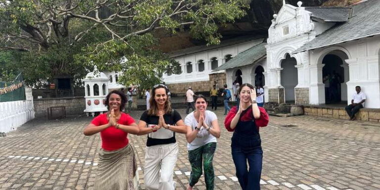 Sigiriya and Dambulla Day Tour from Hikkaduwa - Optional Safari Experience