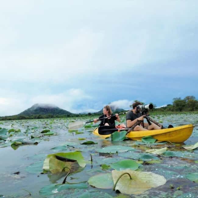 Sigiriya: Sunrise or Sunset Kayaking Tour - The Breakdown: Why the Experience Matters