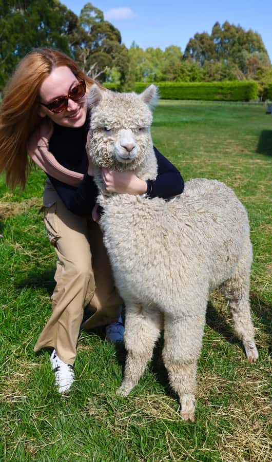 Silverstream Alpaca Farm Tour with Feeding and Guide - Who Will Love This Tour?
