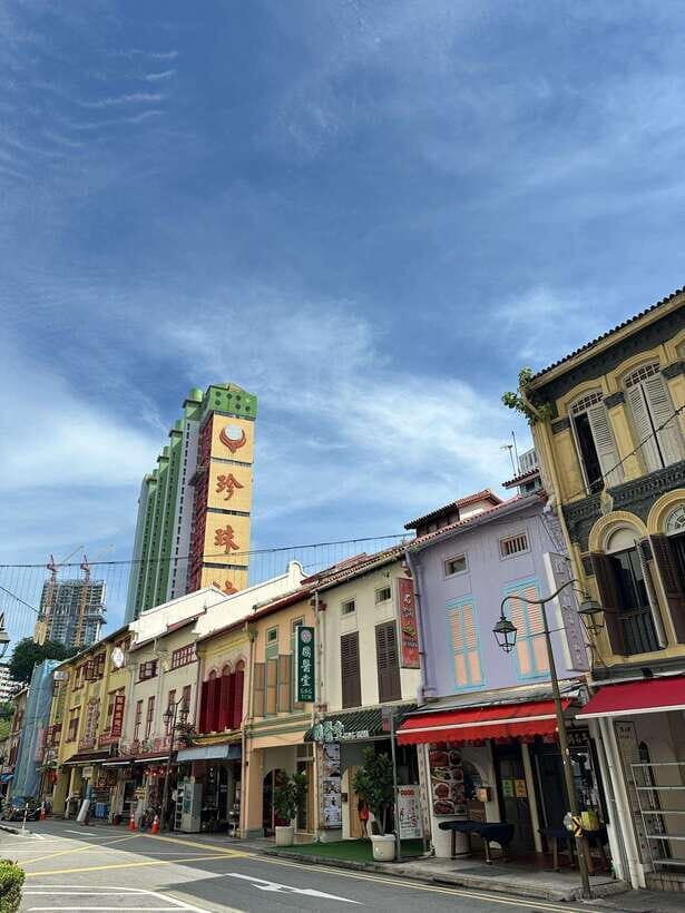 Singapore Car Tour: Chinatown/Haji Lane/Joo Chiat - Who Will Love This Tour?