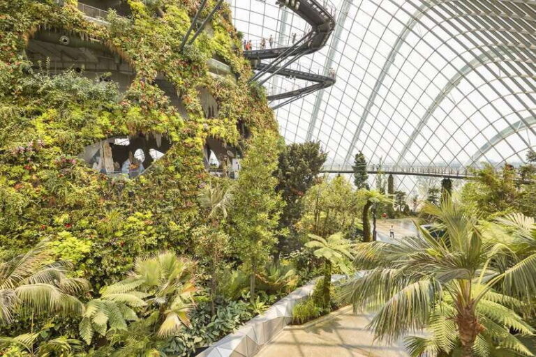 Singapore: Gardens by the Bay Admission E-Ticket - Exploring Gardens by the Bay: A Deep Dive