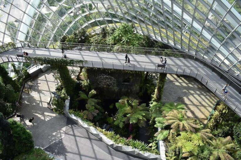 Singapore: Private Customizable Singapore Tour - Who Is This Tour Best For?