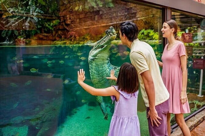 Singapore River Wonders Entry Ticket - The Value of the Ticket and Overall Experience