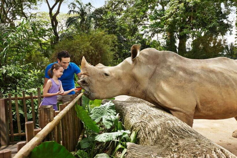 Singapore Zoo: 1-Day Entrance E-Ticket - Diverse Exhibits and Activities