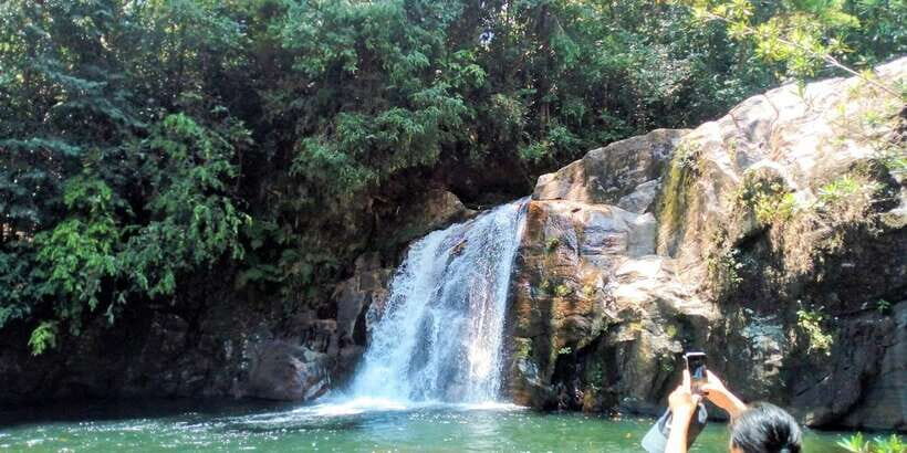 Sinharaja Rainforest Private & Customize Tour - The Itinerary: What You’ll Experience