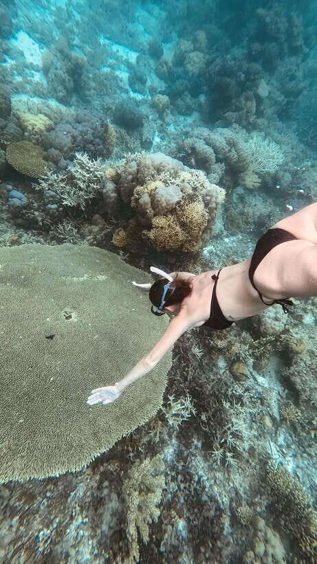 Siquijor: Freediving Adventure with Lunch and Beach Time - The Itinerary in Detail