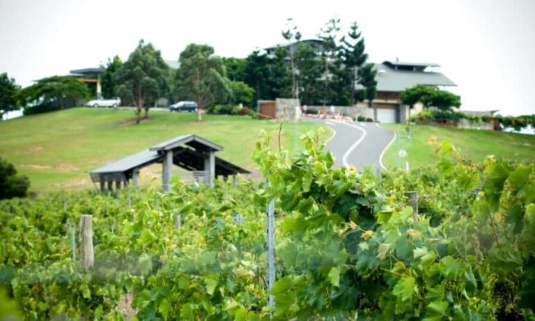 Sirromet Winery A Petit Pairing - The Itinerary: What to Expect