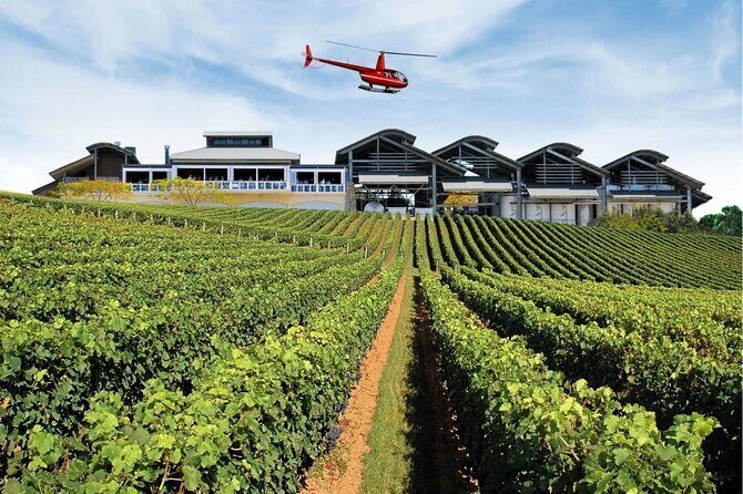 Sirromet Winery + CBD & Mt Coot-tha Private Helicopter Experience - Who Should Consider This Tour?