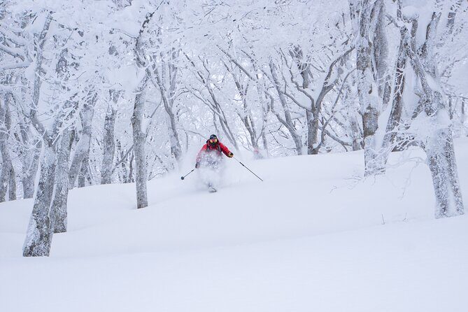 Ski or Snowboard Lesson in Shiga Kogen (4Hours) - The Views and Atmosphere