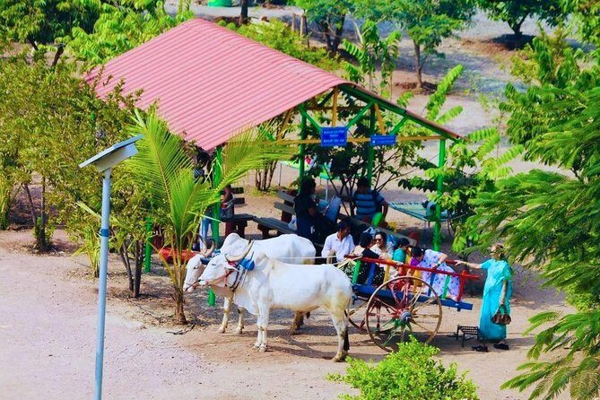 Skip the Line: Meher Retreat Day Picnic Ticket, Near Pune - What the Reviews Say