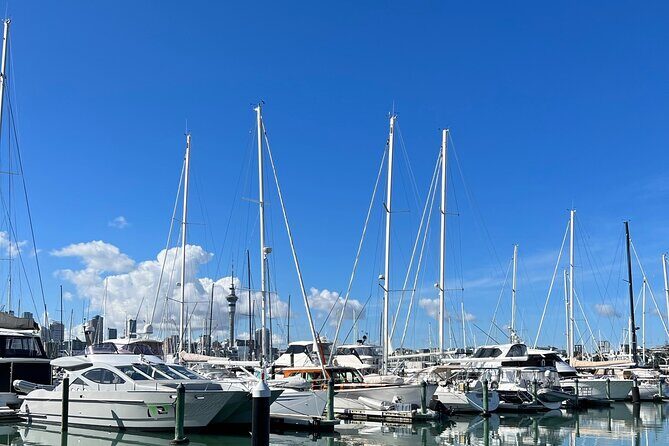 Skyline To Summit - Aucklands Ultimate Private City Experience - What Makes This Tour Stand Out?