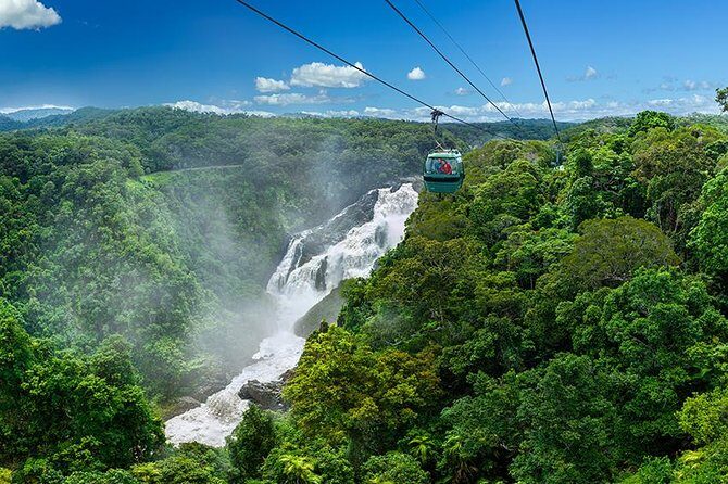 Skyrail Rainforest Cableway Day Trip from Port Douglas - Practical Details and What You Can Expect