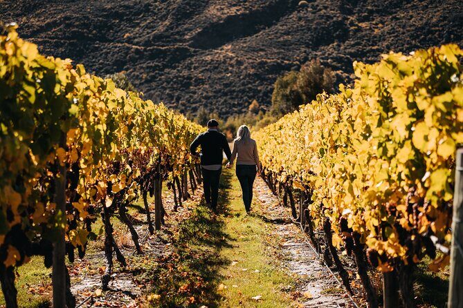 Small Batch Private Wine Experience in Gibbston, Queenstown. - The Itinerary Breakdown: A Closer Look
