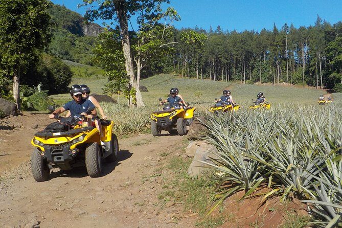Small Combo 2h30 Quad + 1h Jetski - What Makes This Tour a Great Value?