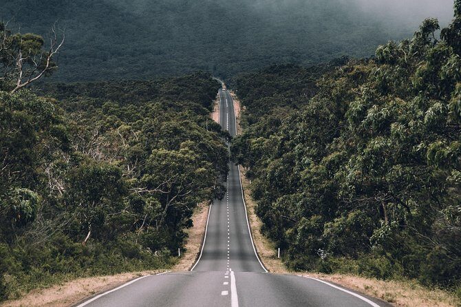 Small Group (8 ppl ) - Grampians Hiking Day Tour from Melbourne - What Tour Participants Say