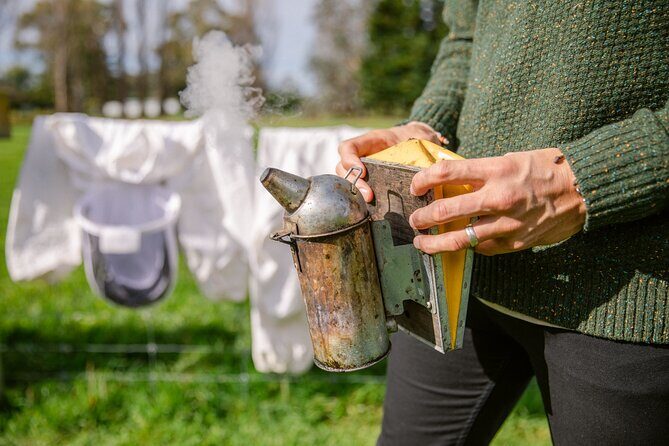 Small-Group Beekeeping Experience in Tauherenikau - The Full Itinerary: A Well-Structured Dive into Beekeeping