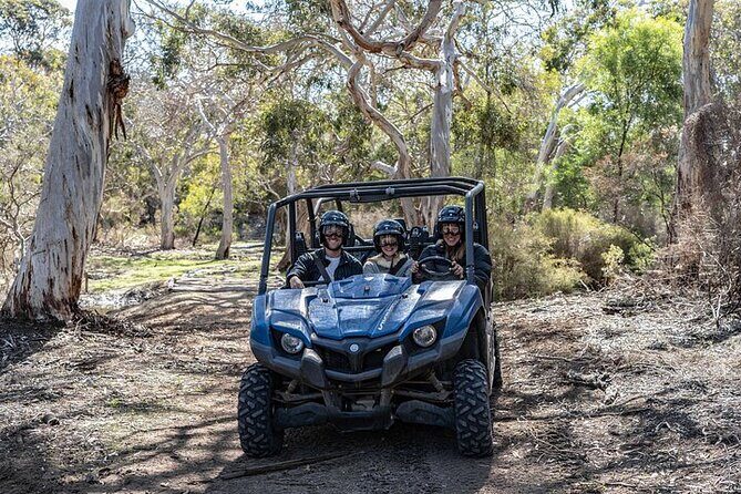 Small-Group Buggy Tour at Little Sahara with Guide - What to Expect From the Tour Experience