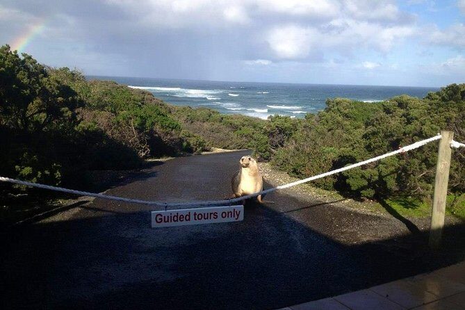 Small Group Kangaroo Island Tour - Seal Bay - Who Will Love This Tour?