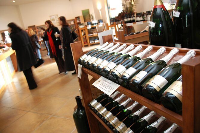 Small-Group Kumeu Wine Country Tour with Wine Tastings & Lunch - The Practical Details: Comfort, Value, and Convenience