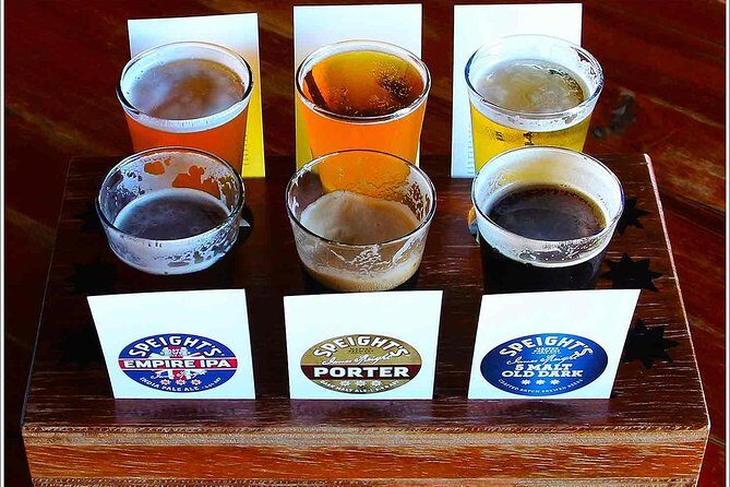 Small group - Napier Premium Wineries+ Beer tour -5.0 - 5.5 hours - Analyzing the Value