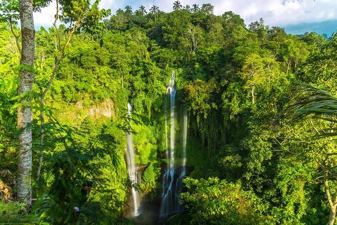 Small-Group Sekumpul Waterfall Jungle Trek with Lunch - Why This Tour Is a Great Choice
