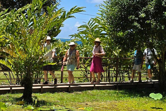 Small Group Shared Half Day Tahiti Tour Waterfalls&Scenic Coast - What Travelers Say