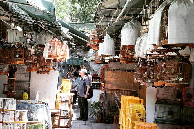 Small-Group Tour: Hong Kong Local Markets Hopper [PROMOTION] - Practical Aspects and Value