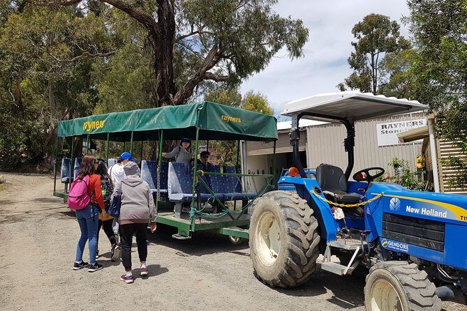 Small-Group Tractor Tour at Rayners Orchard from Melbourne - Analyzing the Value
