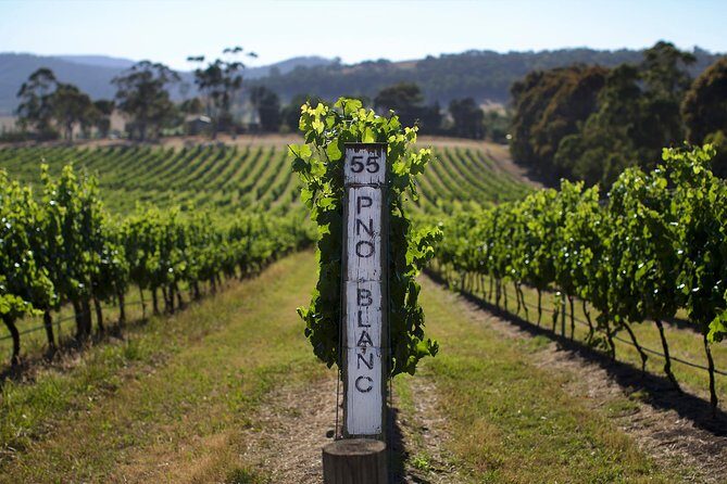 Small Group: Ultimate Yarra Valley Food and Wine - The Sum Up