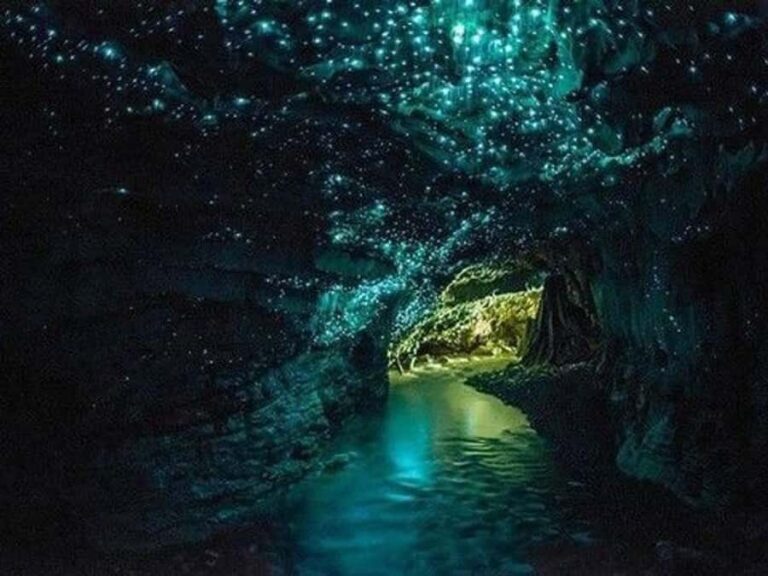 Small-Group Waitomo Glowworm Caves Day Tour from Auckland - The Experience and Its Value
