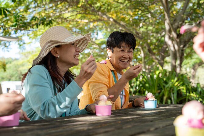 Small Group Waterfall Wetlands+ Skyrail All Inclusive from Cairns - Why This Tour Works for Travelers