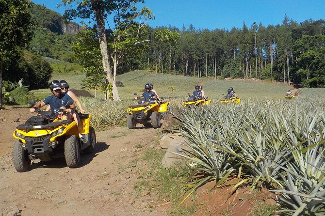 Small Quad Tour 2h30 Quad excursion in Moorea (single or two-seater) - Final Thoughts
