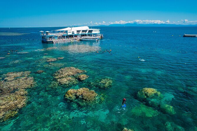 Snorkel & Dive the Reef: Sustainable, Scientific & Cultural Tour - FAQ