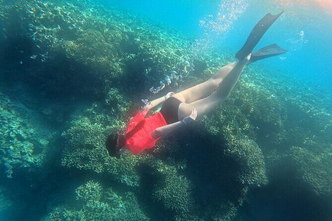 Snorkeling at Menjangan Island Bali Hidden Underwater Gem - The Practicalities: What’s Included and What You Need to Know