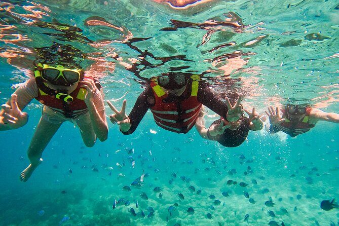 Snorkeling at Nha Trang Bay - Authentic Experiences and Guest Feedback