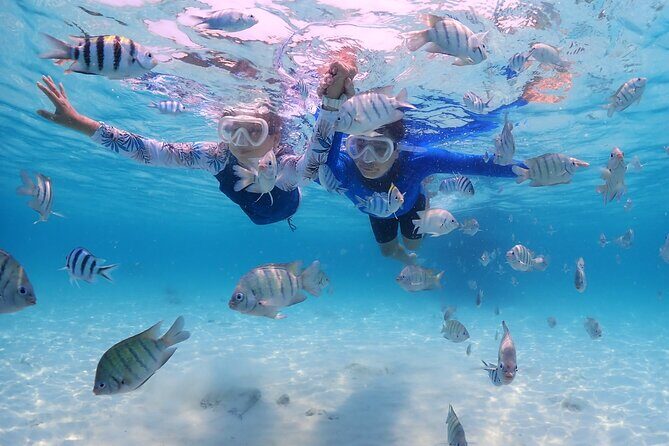 Snorkeling Blue Lagoon with lunch & waterfall - What to Expect: Practical Details