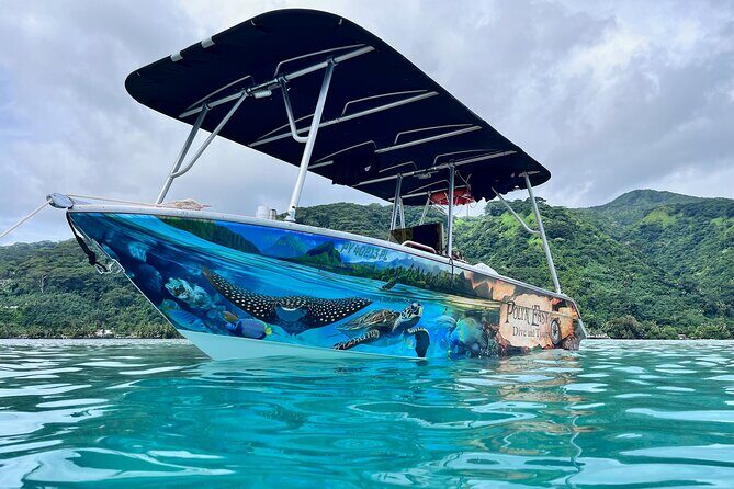 Snorkeling EN Small Group Tour in Tahiti - Who Should Book This Tour?