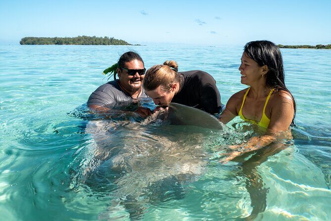 Snorkeling excursion and encounter with marine fauna in Moorea - Value for Money